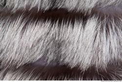 Photo Textures of Fabric